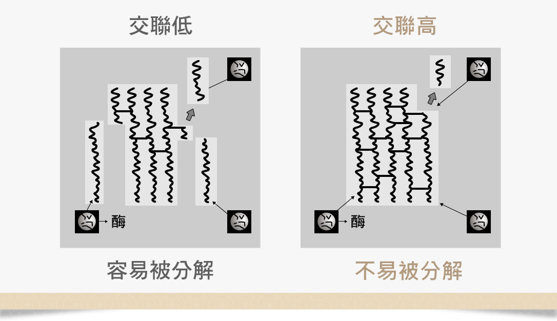 玻尿酸交聯劑