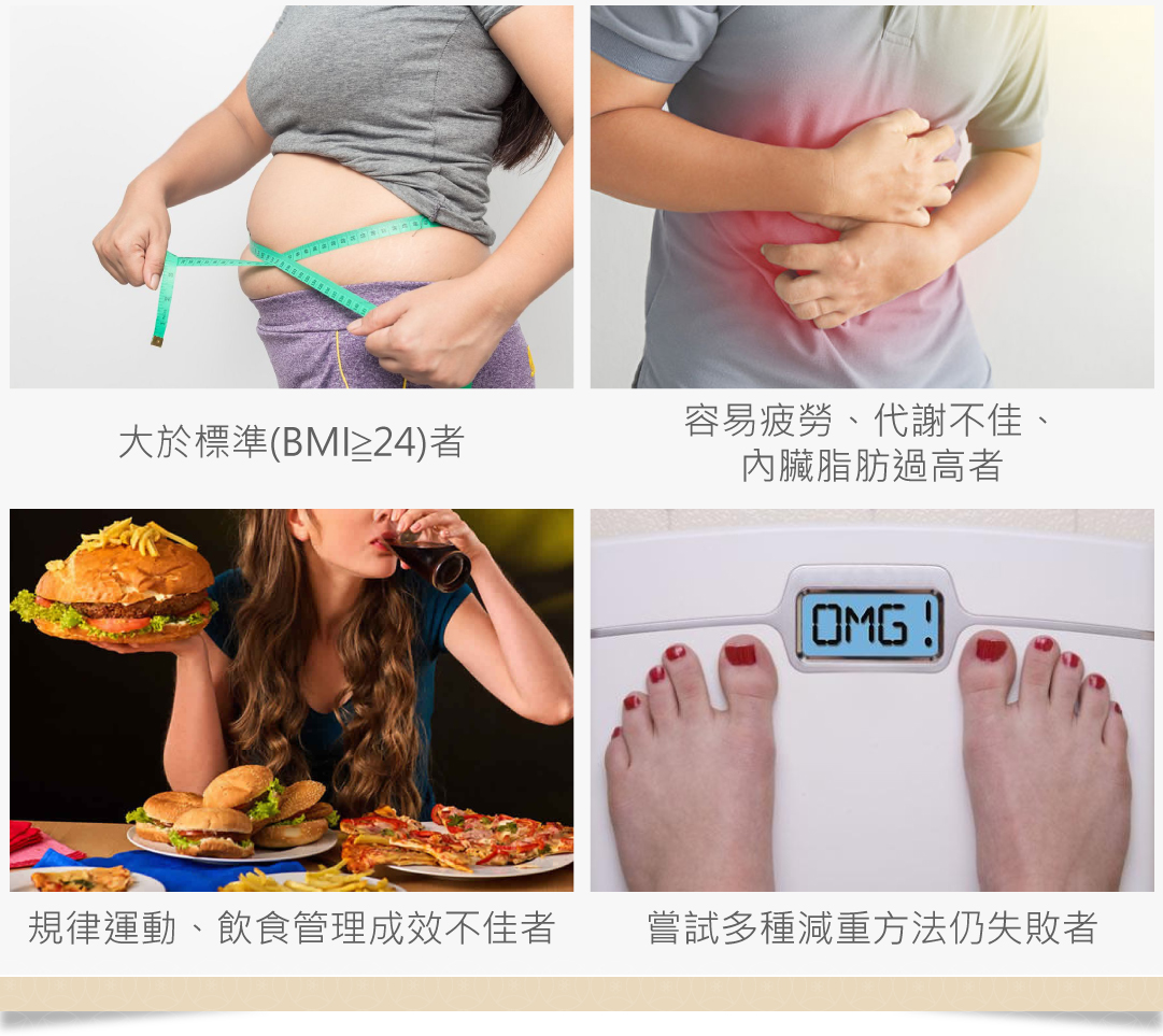 減重適合對象  BMI 內臟脂肪