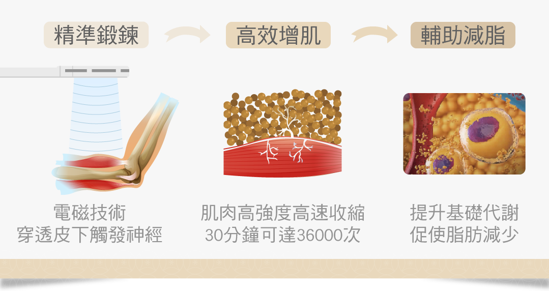 強化肌肉