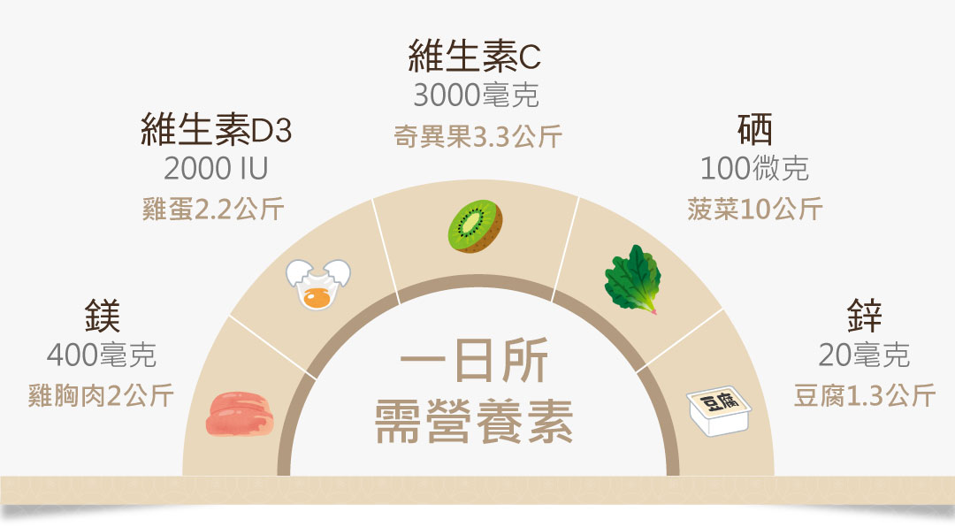 食物攝取維生素